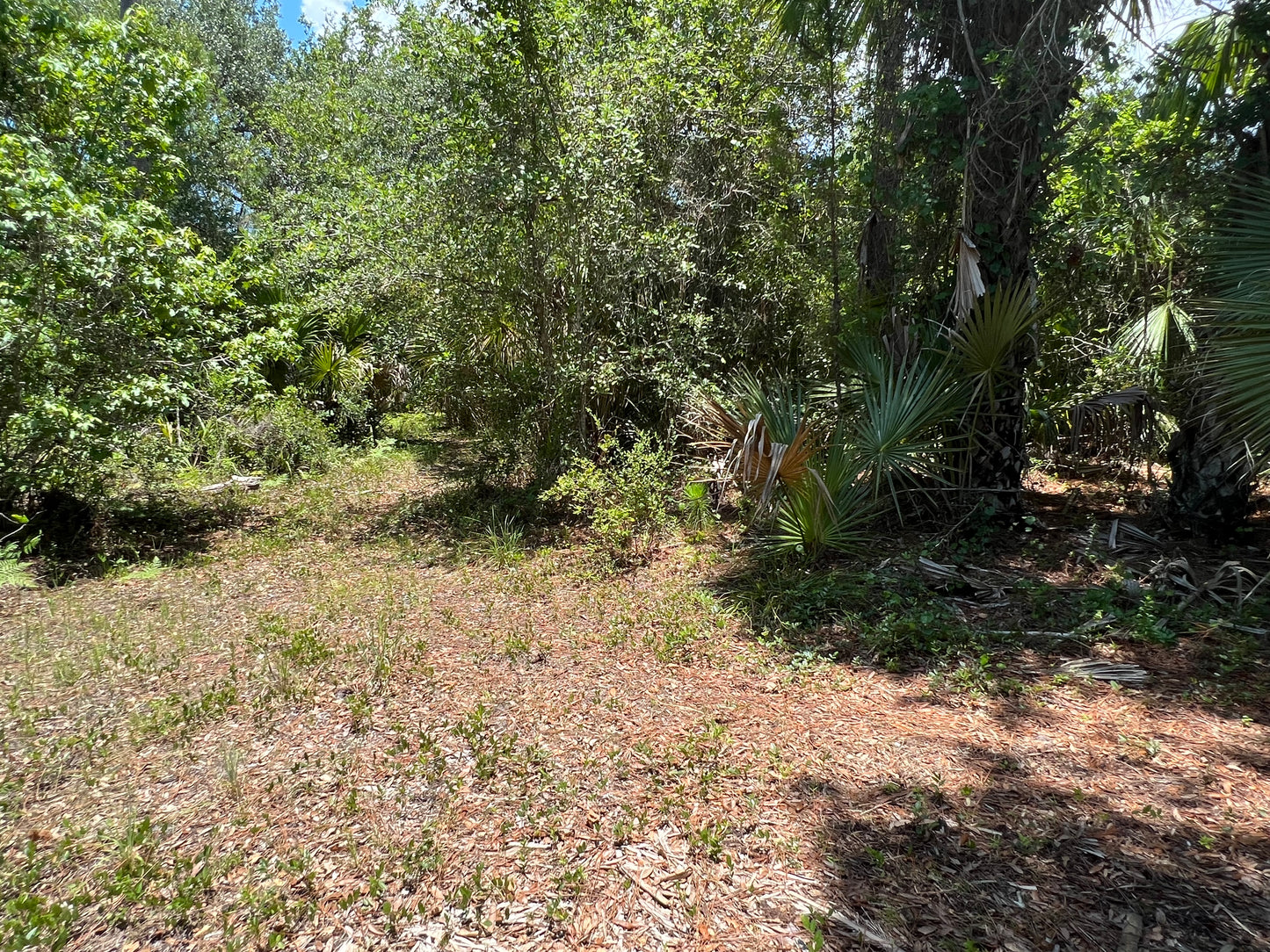 2.5 Acre Parcel of Hunting Land Near Lake Harney, Volusia County