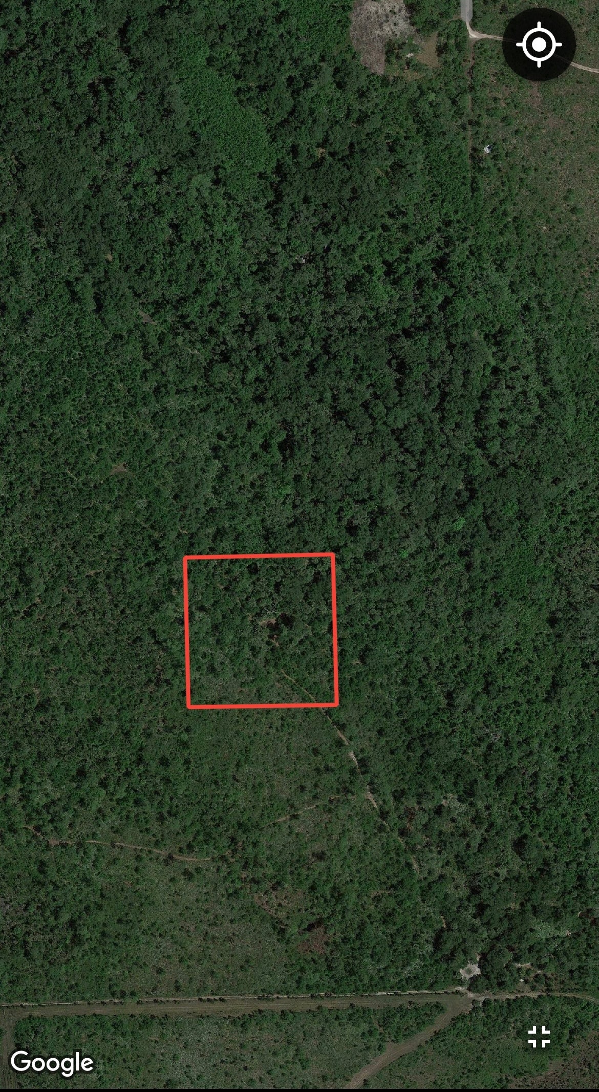 2.5 Acre Parcel of Hunting Land Near Lake Harney, Volusia County