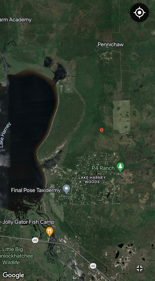 2.5 Acre Parcel of Hunting Land Near Lake Harney, Volusia County