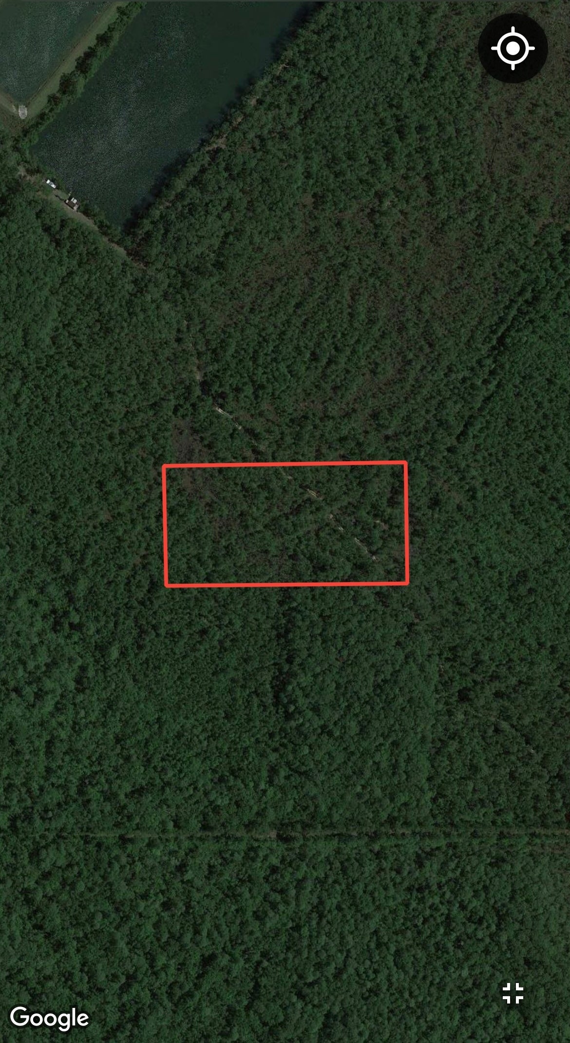 5.0 Acre Parcel of Hunting Land in DeLand, Volusia County