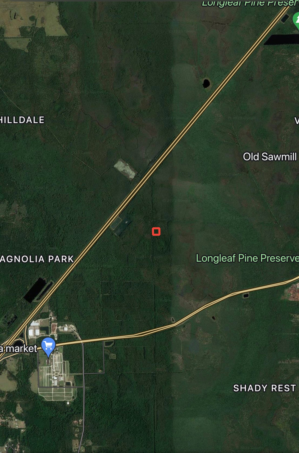 2.5 Acres of Hunting Land near Longleaf Pine Preserve, Volusia County