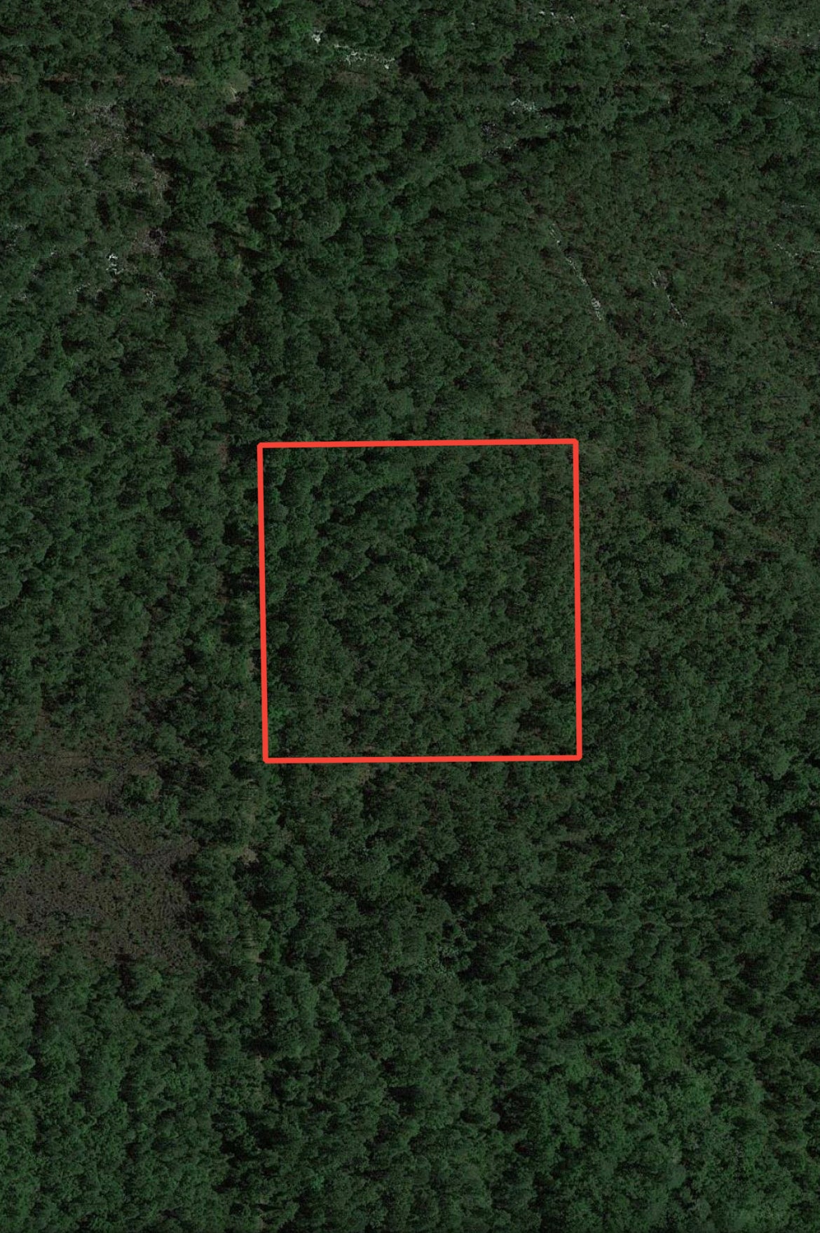 2.5 Acres of Hunting Land near Longleaf Pine Preserve, Volusia County