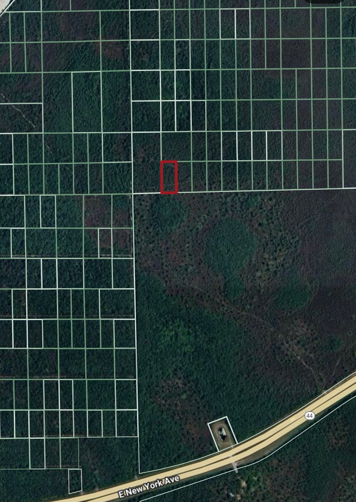1.25ac Property Borders Volusia County Preserve on 2 Sides - with Owner Financing!