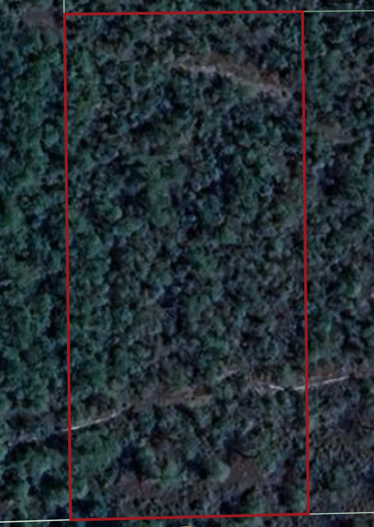 1.25ac Property Borders Volusia County Preserve on 2 Sides - with Owner Financing!