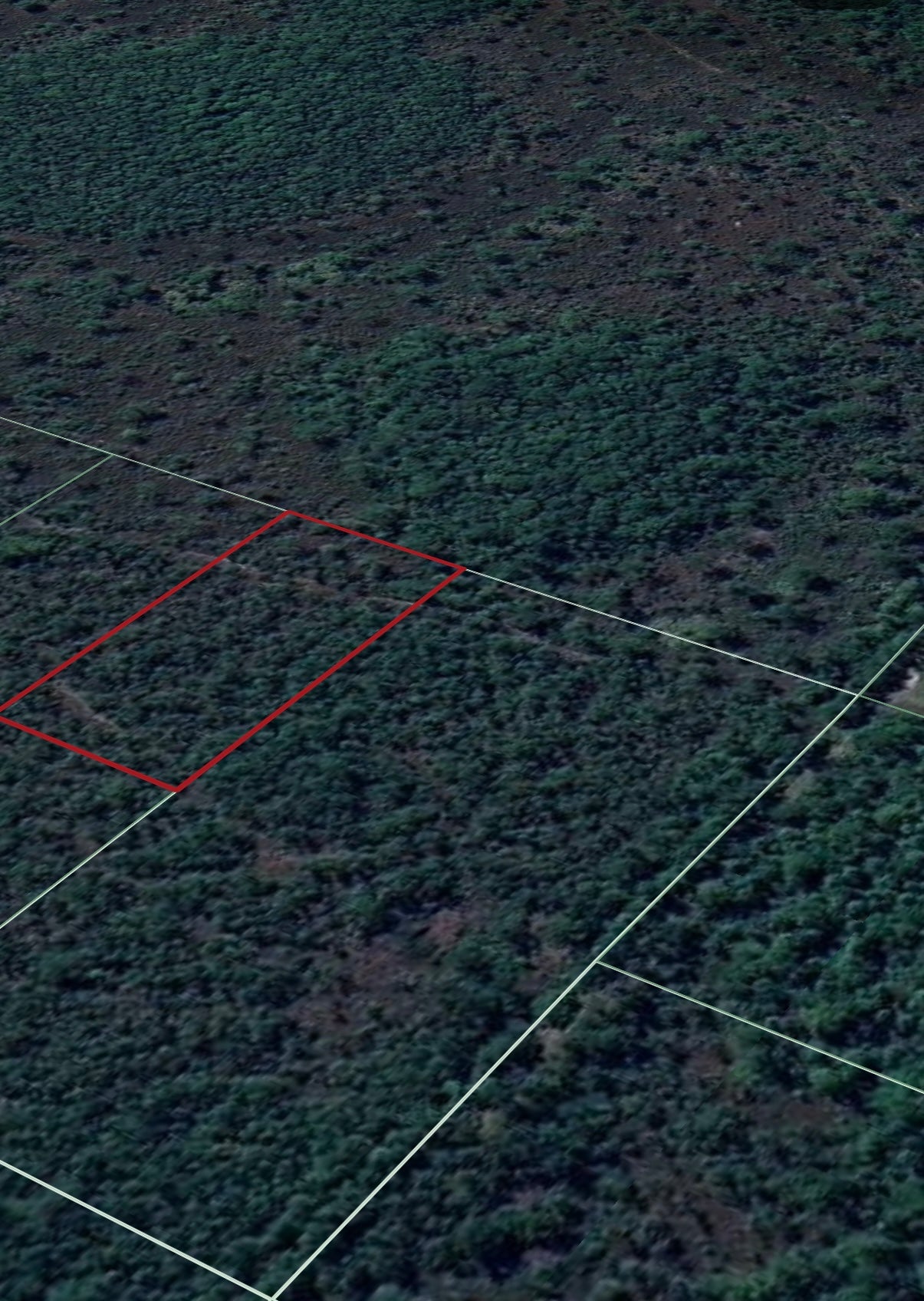 1.25ac Property Borders Volusia County Preserve on 2 Sides - with Owner Financing!