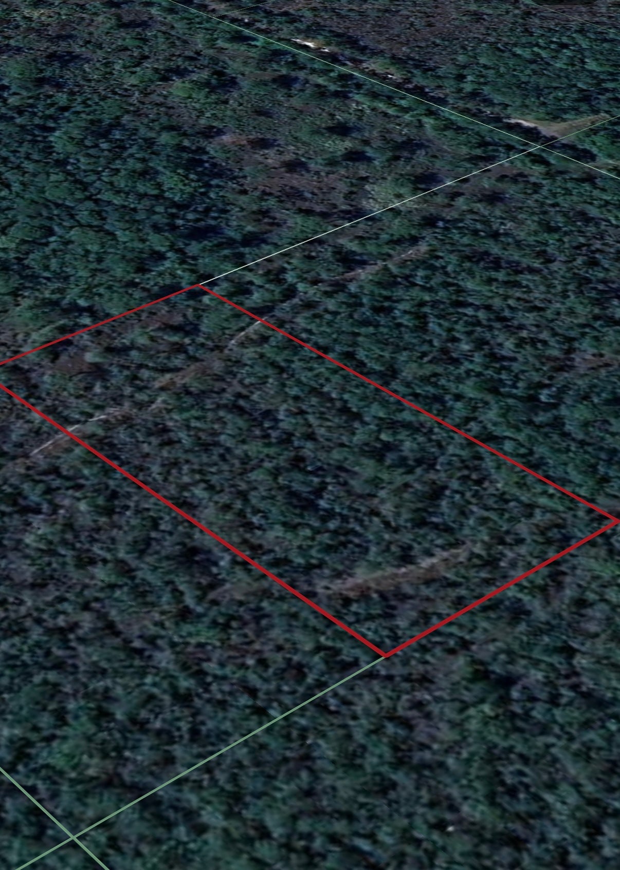 1.25ac Property Borders Volusia County Preserve on 2 Sides - with Owner Financing!