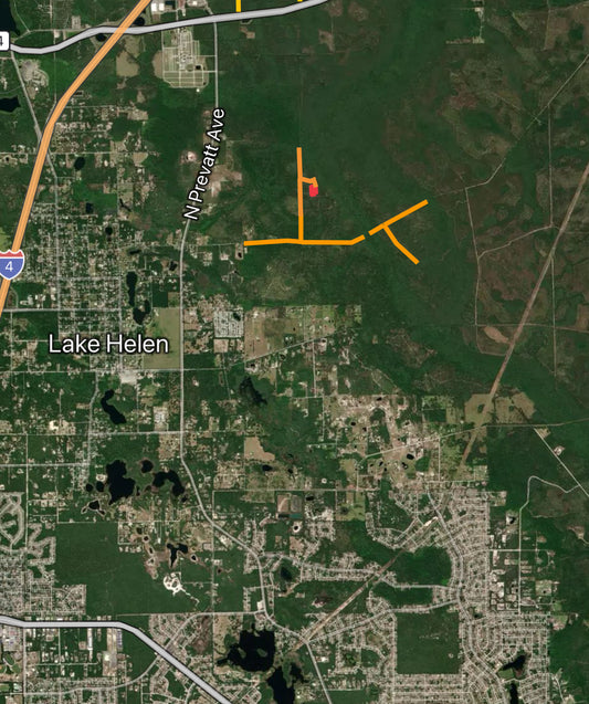 1.25ac Property for HUNTING ONLY with Easy Access in Volusia - Owner Financing!