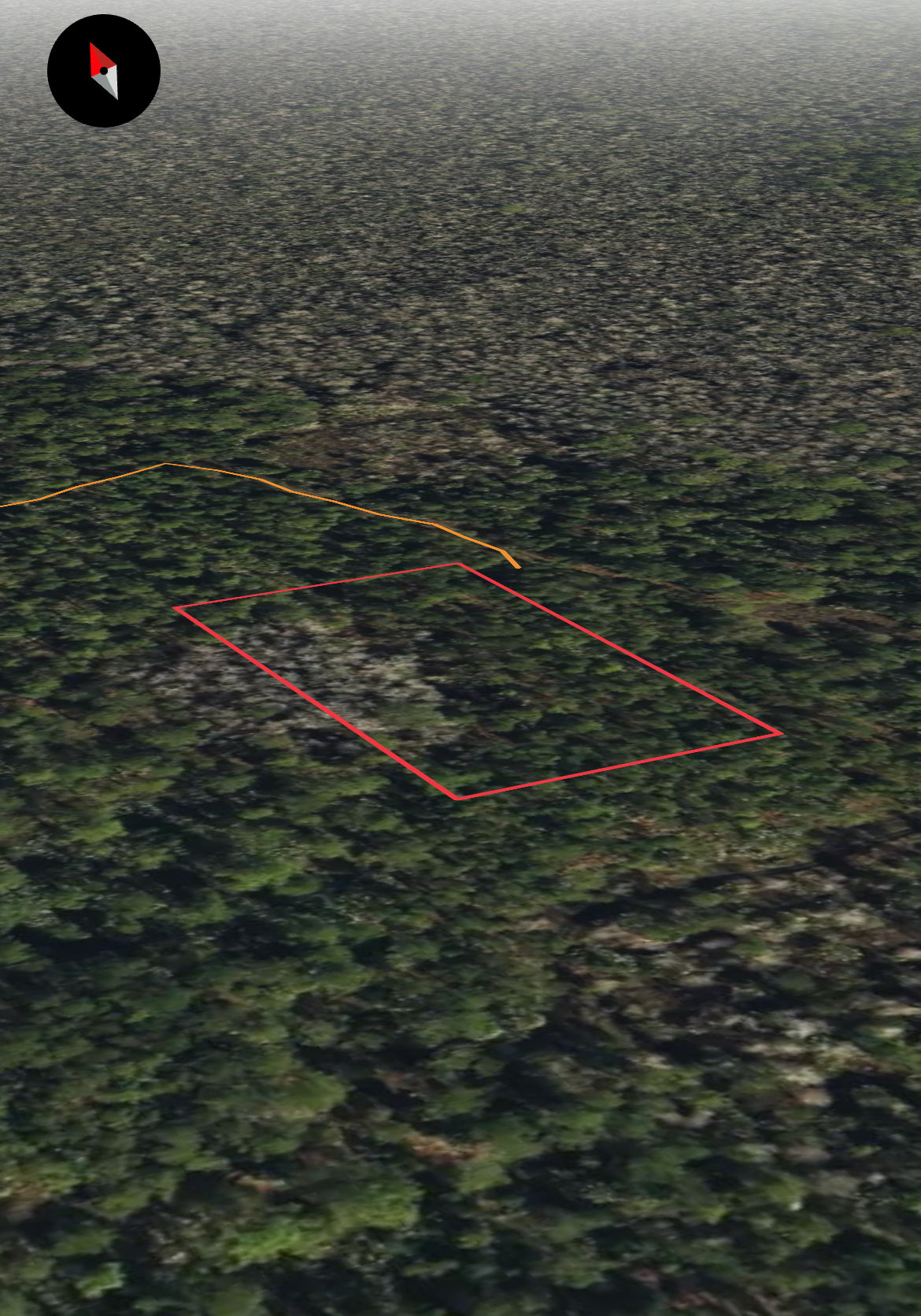 1.25ac Property for HUNTING ONLY with Easy Access in Volusia - Owner Financing!