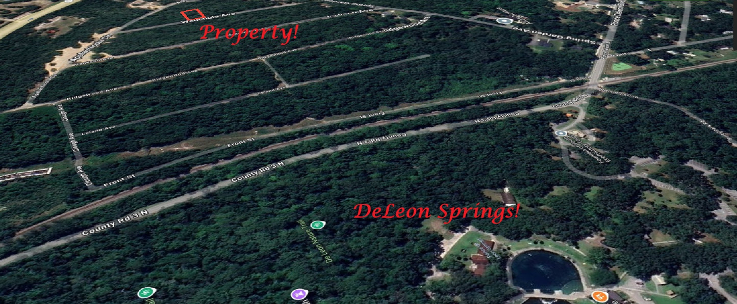 Residential 1/4 Acre Homesite near DeLeon Springs State Park!