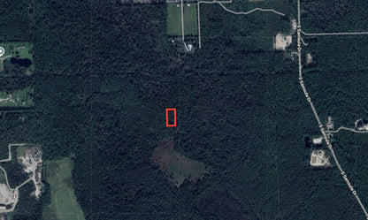 1.25 Acres in Rapidly Expanding Volusia County - $99 Down, $103 per Month!
