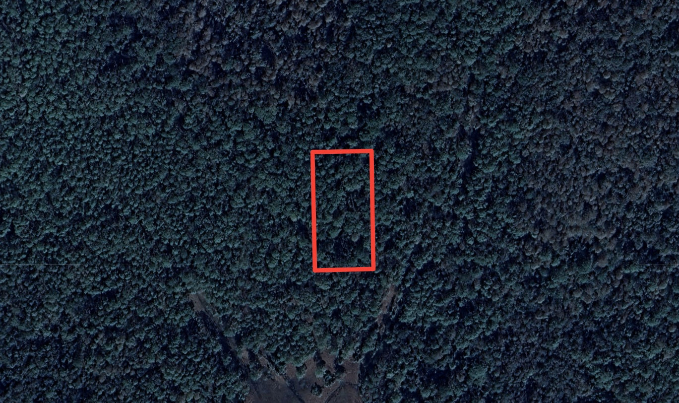 1.25 Acres in Rapidly Expanding Volusia County - $99 Down, $103 per Month!