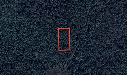 1.25 Acres in Rapidly Expanding Volusia County - $99 Down, $103 per Month!