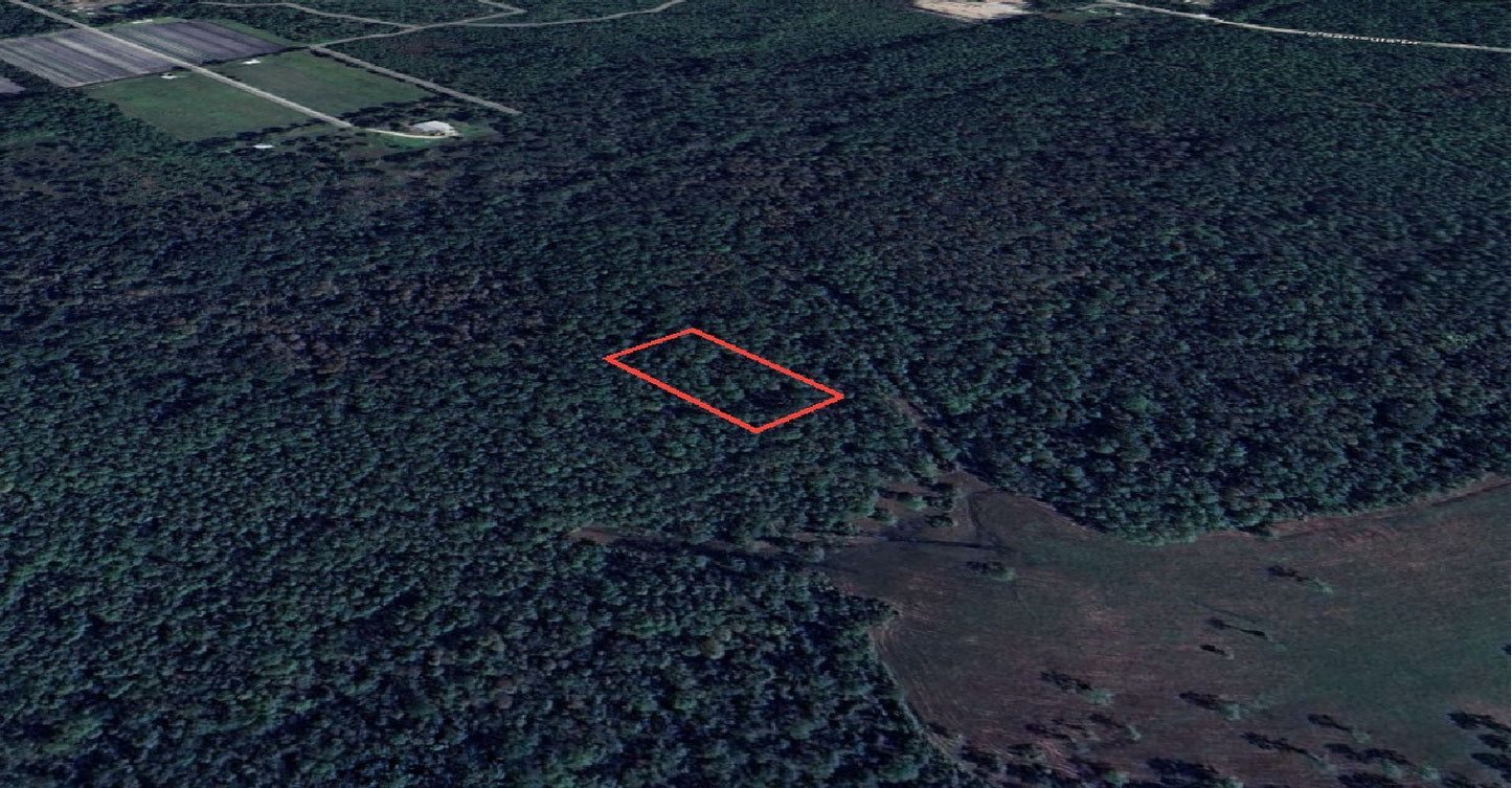 1.25 Acres in Rapidly Expanding Volusia County - $99 Down, $103 per Month!