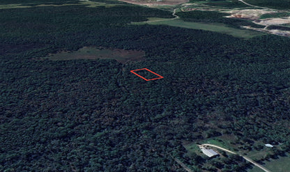 1.25 Acres in Rapidly Expanding Volusia County - $99 Down, $103 per Month!