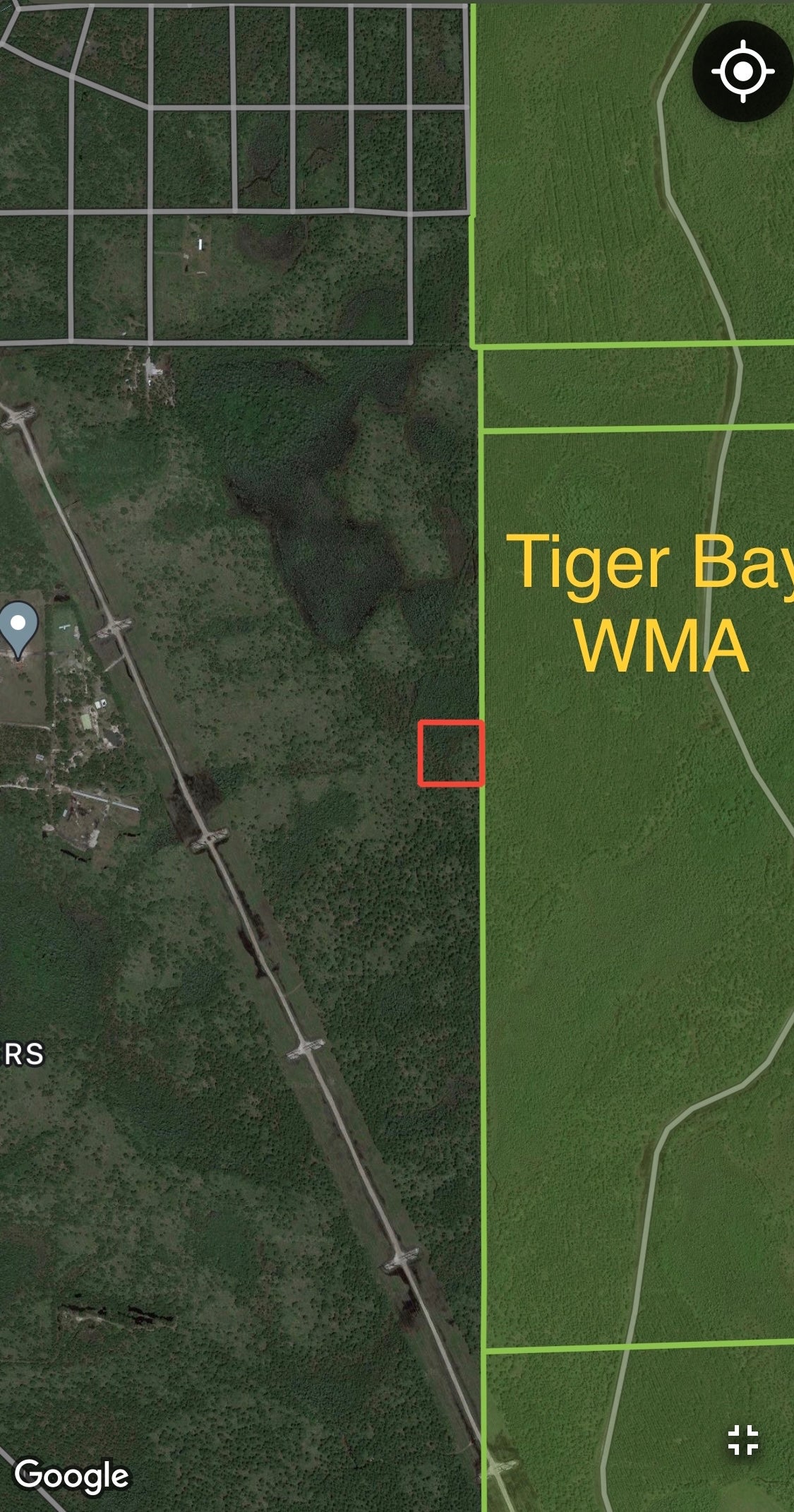 2.5 Acres of Land Bordering Tiger Bay State Forest!
