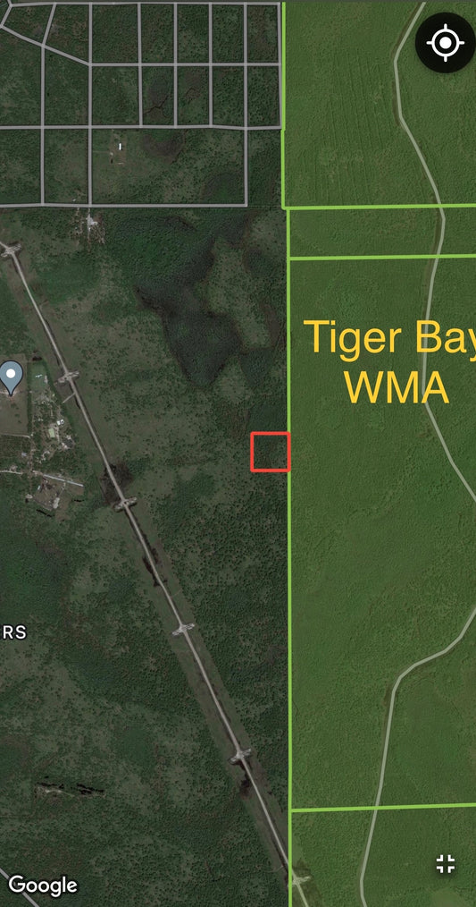 2.5 Acres of Land Bordering Tiger Bay State Forest!