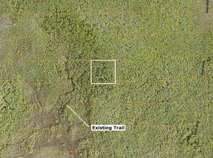 2.50 Acres of Land Near I-4 in Rapidly Expanding Volusia County - ONLY $199 Down, $226 per Month!