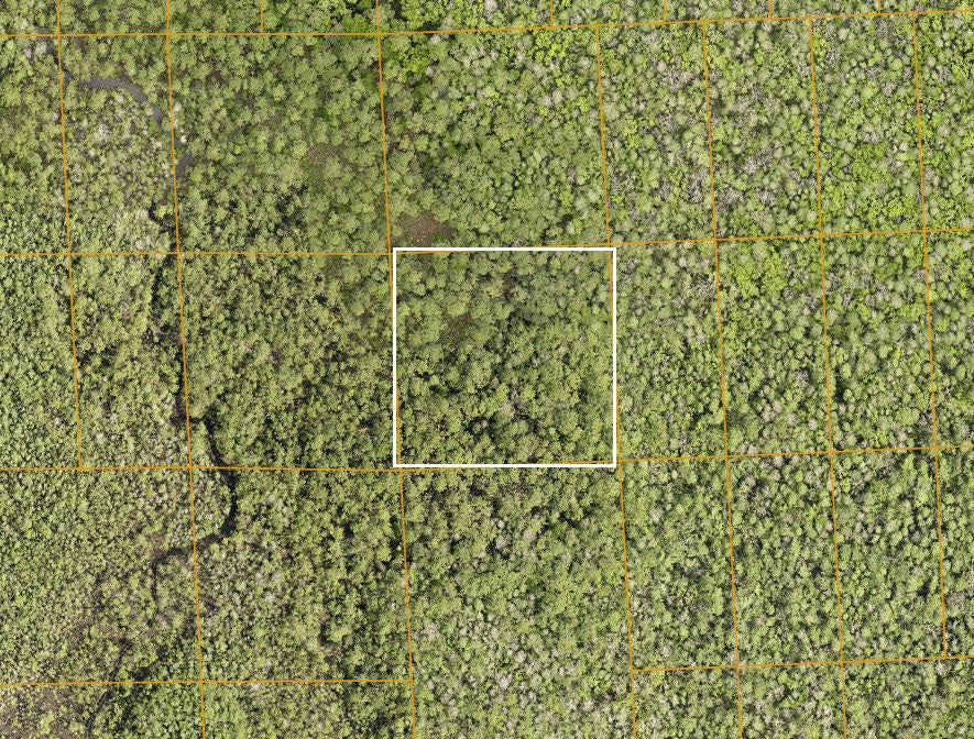 2.50 Acres of Land Near I-4 in Rapidly Expanding Volusia County - ONLY $199 Down, $226 per Month!