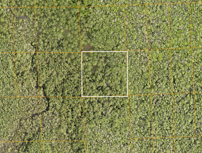 2.50 Acres of Land Near I-4 in Rapidly Expanding Volusia County - ONLY $199 Down, $226 per Month!