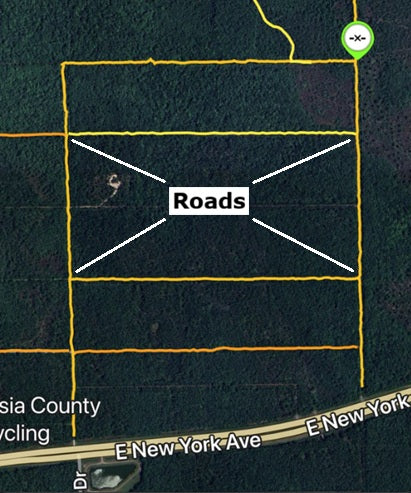 1.25ac Property Borders Volusia County Preserve on 2 Sides - with Owner Financing!