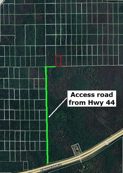 1.25ac Property Borders Volusia County Preserve on 2 Sides - with Owner Financing!