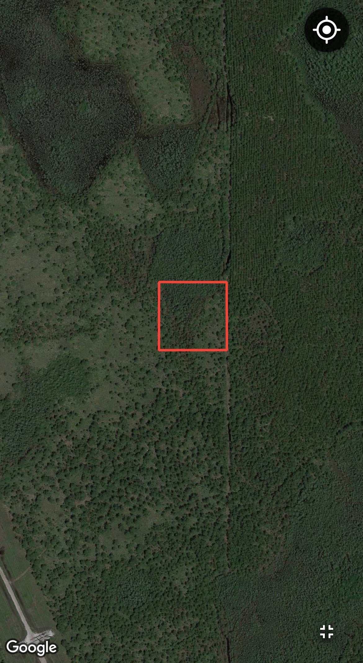 2.5 Acres of Land Bordering Tiger Bay State Forest!