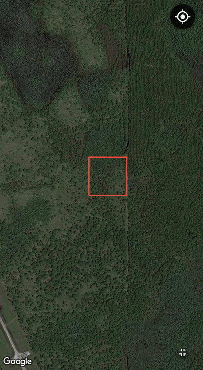 2.5 Acres of Land Bordering Tiger Bay State Forest!