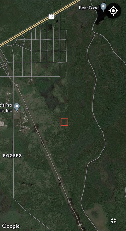 2.5 Acres of Land Bordering Tiger Bay State Forest!