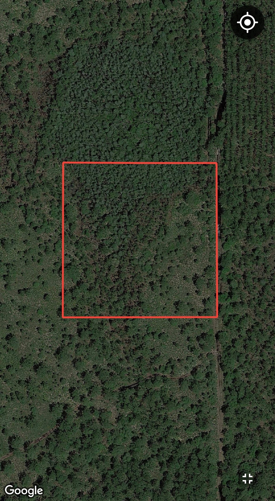 2.5 Acres of Land Bordering Tiger Bay State Forest!
