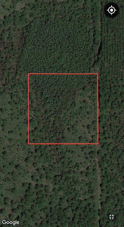 2.5 Acres of Land Bordering Tiger Bay State Forest!