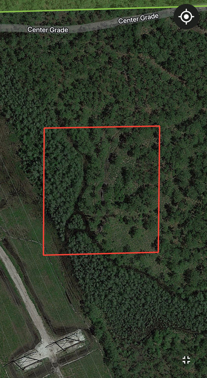 2.5 Acres of Land Next to Tiger Bay State Forest!
