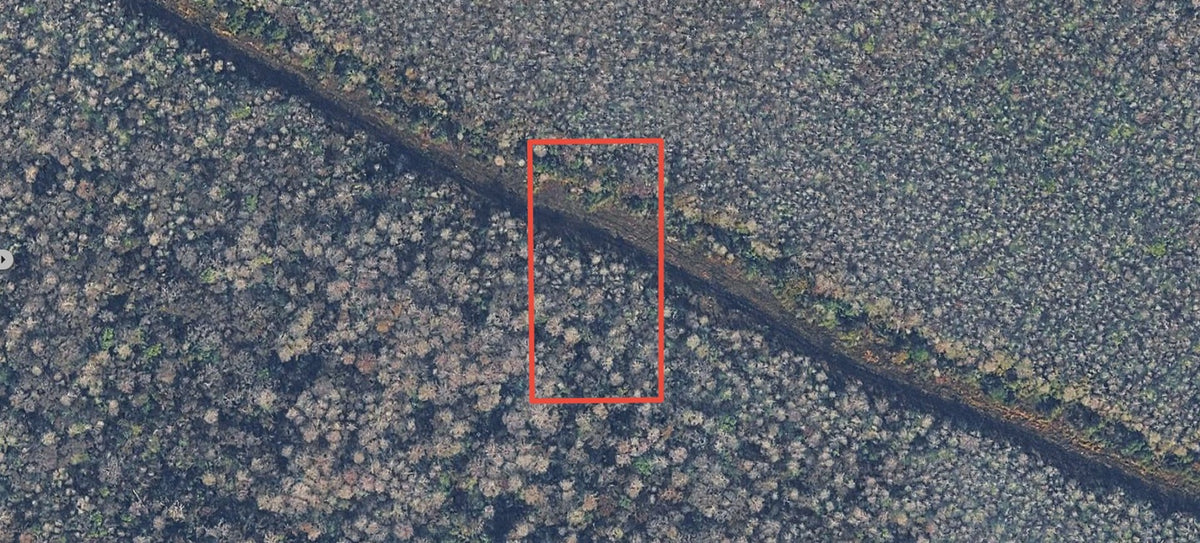 1.25 Acres of Vacant Land in Growing Volusia County - $99 Down, $124 per Month