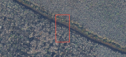 1.25 Acres of Vacant Land in Growing Volusia County - $99 Down, $124 per Month