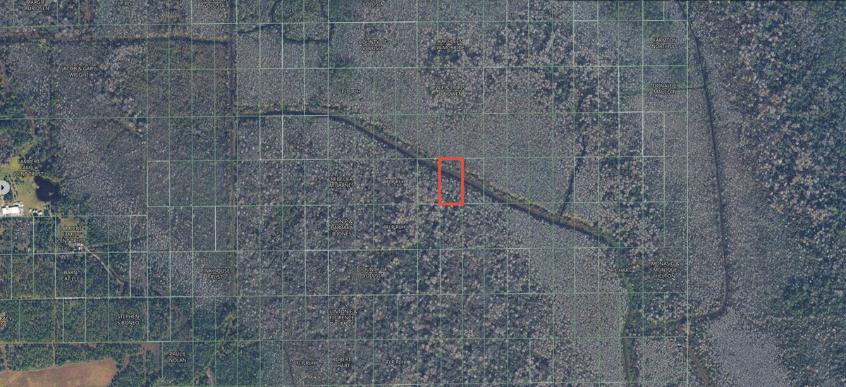 1.25 Acres of Vacant Land in Growing Volusia County - $99 Down, $124 per Month