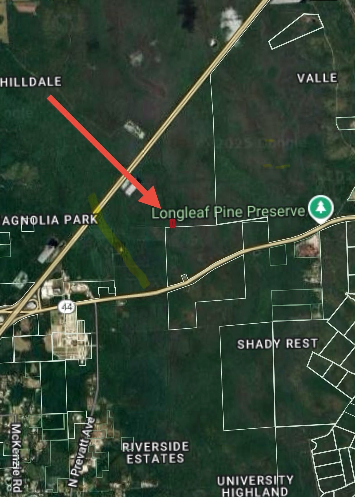 1.25ac Property Borders Volusia County Preserve on 2 Sides - with Owner Financing!