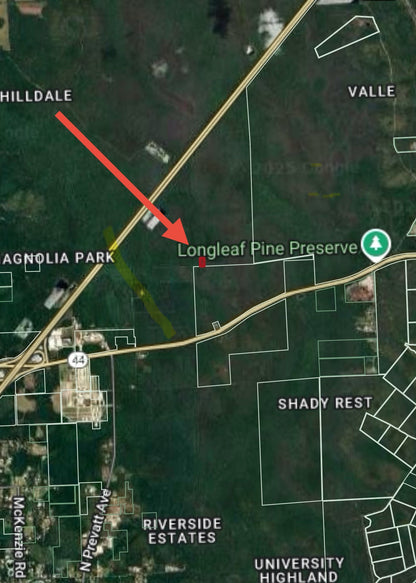 1.25ac Property Borders Volusia County Preserve on 2 Sides - with Owner Financing!