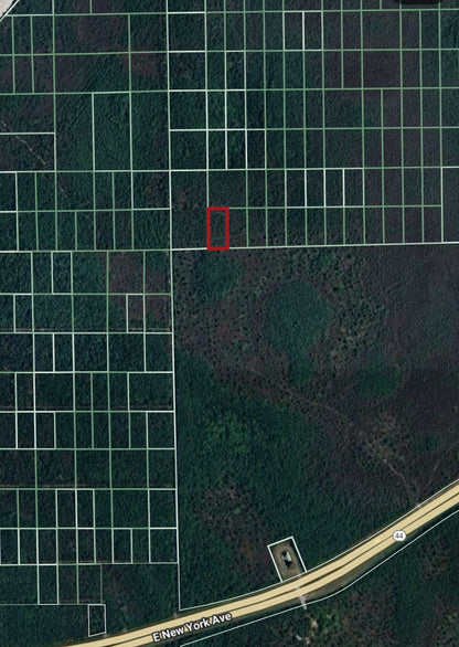 1.25ac Property Borders Volusia County Preserve on 2 Sides - with Owner Financing!