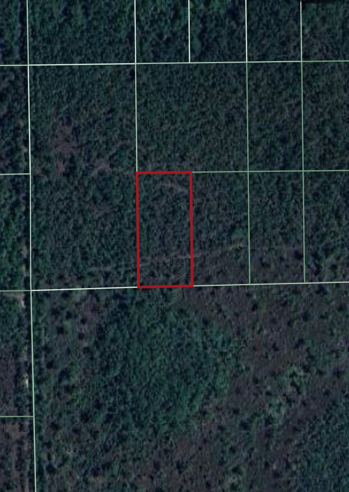 1.25ac Property Borders Volusia County Preserve on 2 Sides - with Owner Financing!