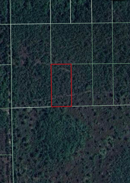 1.25ac Property Borders Volusia County Preserve on 2 Sides - with Owner Financing!