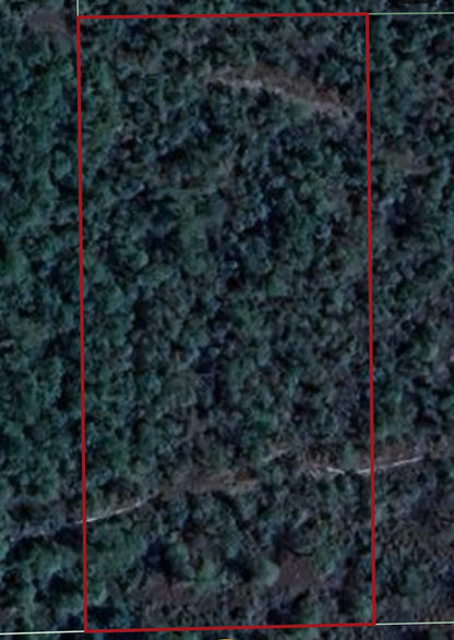 1.25ac Property Borders Volusia County Preserve on 2 Sides - with Owner Financing!
