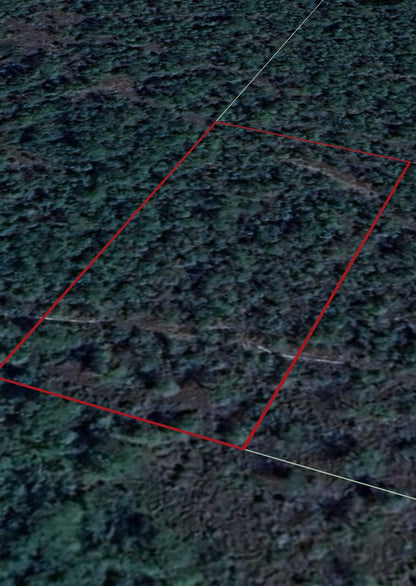 1.25ac Property Borders Volusia County Preserve on 2 Sides - with Owner Financing!