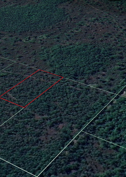 1.25ac Property Borders Volusia County Preserve on 2 Sides - with Owner Financing!