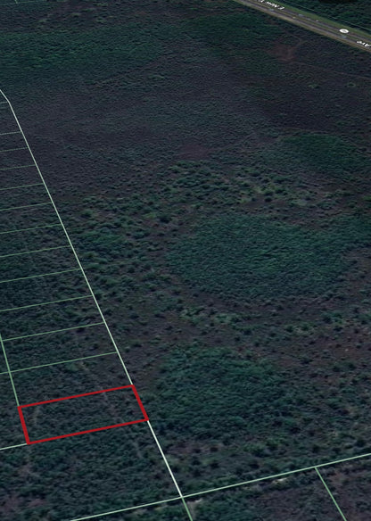 1.25ac Property Borders Volusia County Preserve on 2 Sides - with Owner Financing!