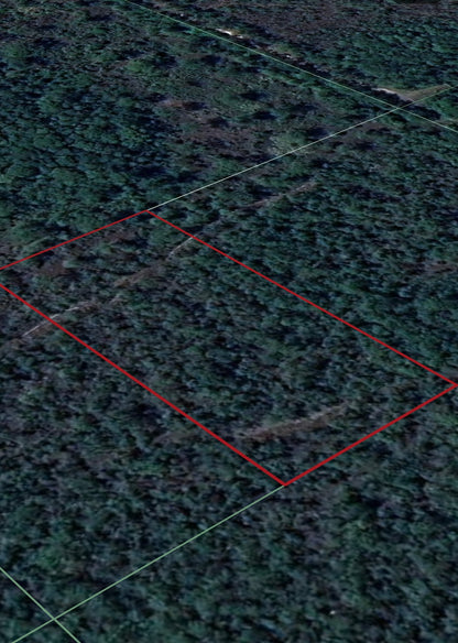 1.25ac Property Borders Volusia County Preserve on 2 Sides - with Owner Financing!