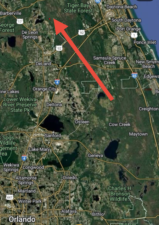5.0 Acre Parcel near Lafayette Landings Private Airstrip in Volusia County - ONLY $499 Down, $313 per Month!