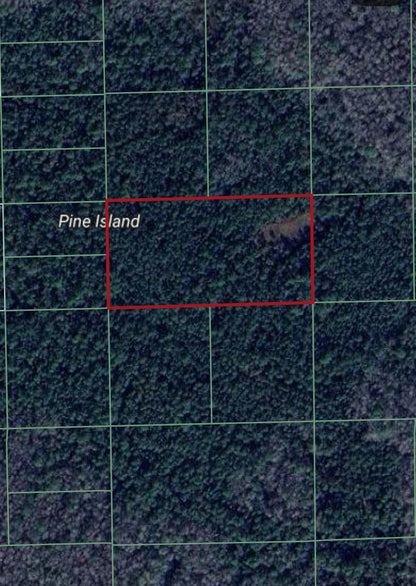 5.0 Acre Parcel near Lafayette Landings Private Airstrip in Volusia County - ONLY $499 Down, $313 per Month!