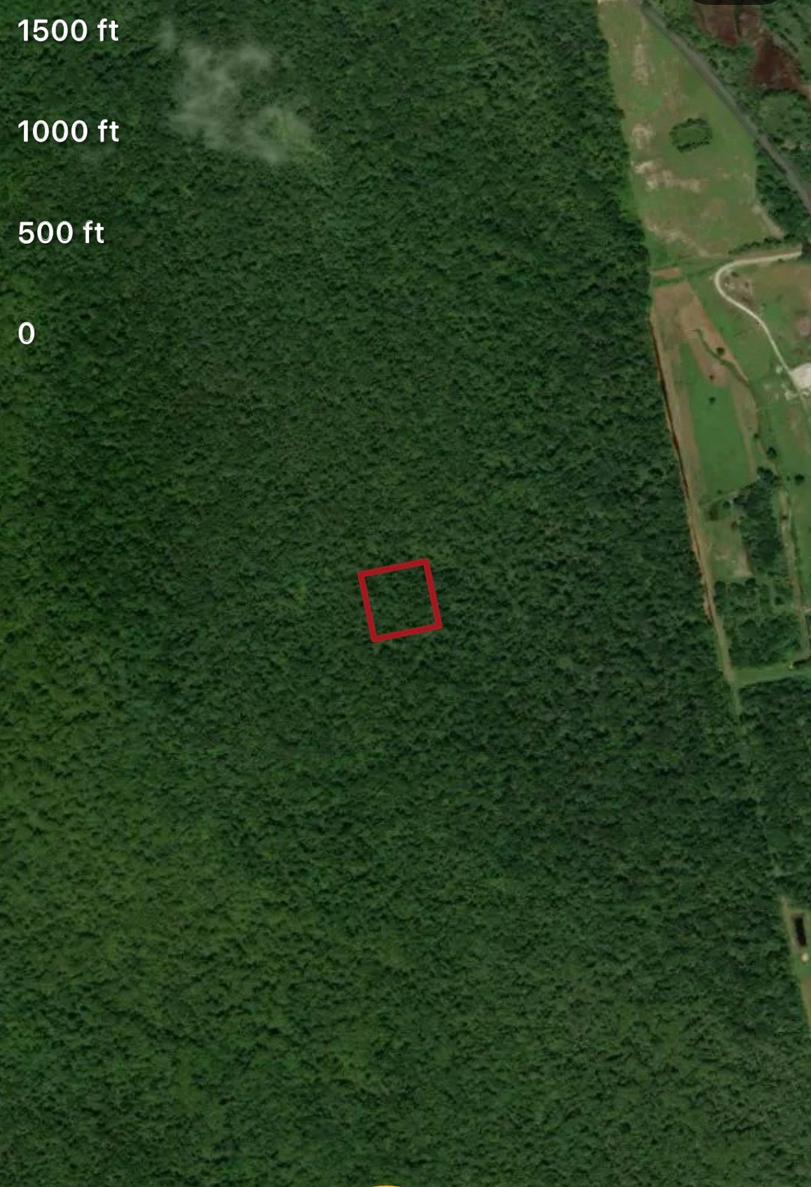 2.50 Acres of Land Near Beaches & I-95 in Rapidly Expanding Volusia County - ONLY $199 Down, $226 per Month!