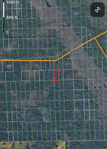 1.25ac HUNTING Property in Lake Helen, Volusia County FL - Owner Financing!