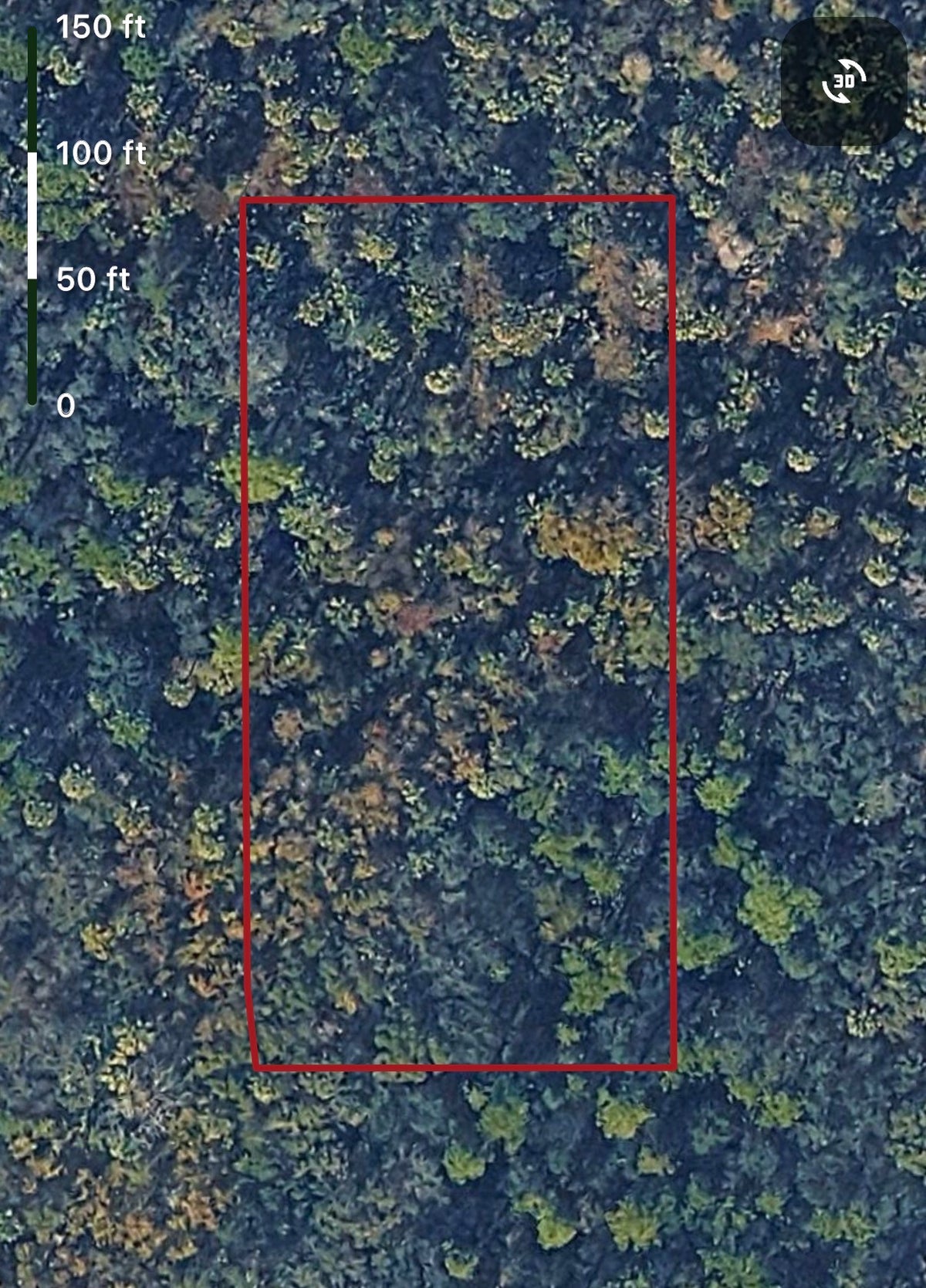 1.25ac HUNTING Property in Lake Helen, Volusia County FL - Owner Financing!