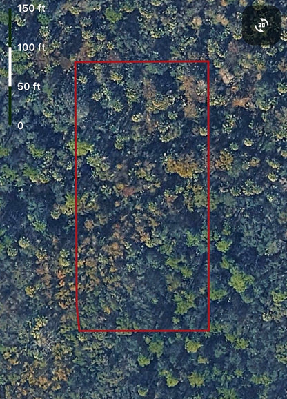 1.25ac HUNTING Property in Lake Helen, Volusia County FL - Owner Financing!